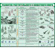 163-развитие растительного и животного мира 1500х1200мм
